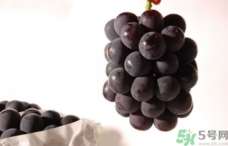 巨峰葡萄可以釀酒嗎？巨峰葡萄怎么做葡萄酒？