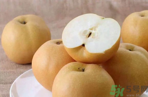 豐水梨的營養(yǎng)價值 豐水梨的功效與作用 豐水梨的營養(yǎng)價值 豐水梨的功效與作用