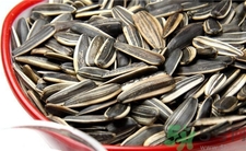 葵瓜子的營養(yǎng)價值 葵瓜子的功效與作用 葵瓜子的營養(yǎng)價值 葵瓜子的功效與作用