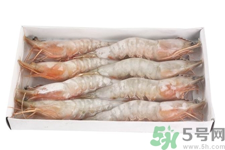 活的明蝦怎么保存?新鮮明蝦的保存 活的明蝦怎么保存?新鮮明蝦的保存