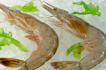 海蝦怎么保存？活海蝦怎么保存？