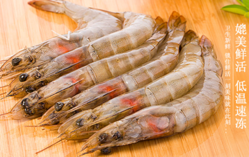 海蝦怎么保存？活海蝦怎么保存？