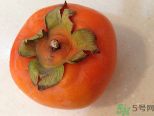 孕婦可以吃懶柿子嗎？懶柿子孕婦可以吃嗎？