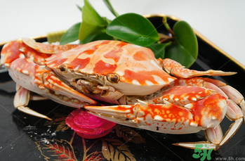 海蟹怎么保存？活海蟹怎么保存？