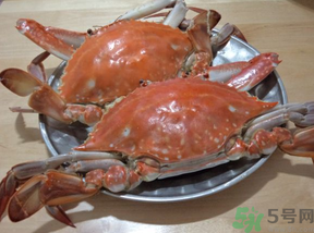 海蟹蒸多長時(shí)間？海蟹蒸多長時(shí)間最好吃？