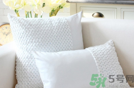 蕎麥枕頭還還是決明子枕頭好?蕎麥枕頭和決明子枕頭哪個(gè)好 蕎麥枕頭還還是決明子枕頭好?蕎麥枕頭和決明子枕頭哪個(gè)好