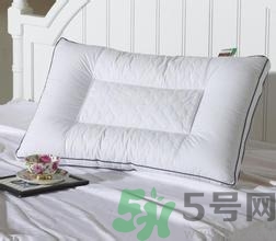 枕決明子枕頭有何好處?決明子枕頭的功效與作用 枕決明子枕頭有何好處?決明子枕頭的功效與作用