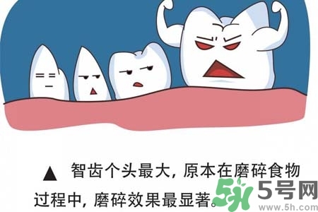 智齒橫著長怎么辦？智齒橫著長一定要拔了嗎？