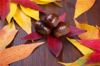 板栗和牛奶可以一起吃嗎？板栗和酸奶能一起吃嗎？