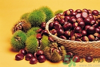 秋天吃板栗好嗎？秋天吃板栗有什么好處？