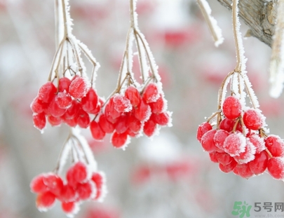 霜降是幾月幾日？霜降是什么意思？