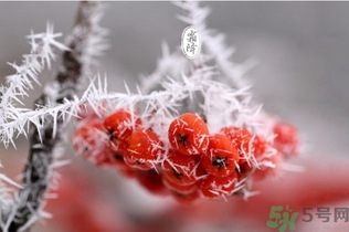 霜降是幾月幾日？霜降是什么意思？