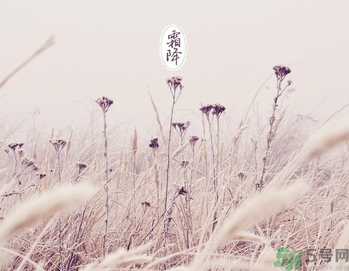 霜降是幾月幾日？霜降是什么意思？