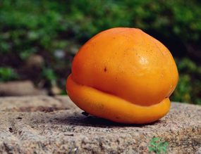 柿子可以和香蕉一起吃嗎？香蕉和柿子能一起吃嗎？