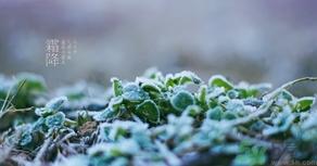 霜降出生的孩子好嗎？霜降出生的寶寶怎么取名？