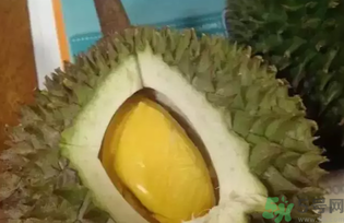 榴蓮吃多了會怎么樣？榴蓮吃多了好嗎？