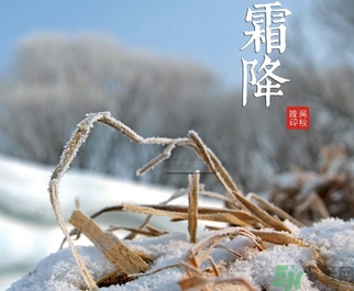 霜降為什么要吃柿子？霜降吃柿子有什么好處？