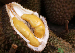 榴蓮一次吃多少合適？榴蓮一天最多吃多少？