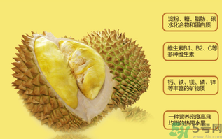 榴蓮不能和什么一起吃？吃榴蓮后不能吃什么？