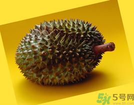 榴蓮可以冷凍保存嗎？榴蓮放冰箱是冷藏還是冷凍？