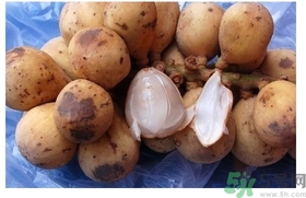 椰色果的功效作用 椰色果怎么吃？