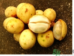 椰色果的功效作用 椰色果怎么吃？