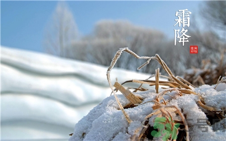 霜降吃什么?霜降養(yǎng)生食譜 霜降吃什么?霜降養(yǎng)生食譜