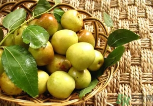 冬棗可以和葡萄一起吃嗎?冬棗和葡萄能一起吃嗎? 冬棗可以和葡萄一起吃嗎?冬棗和葡萄能一起吃嗎?