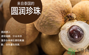 泰國龍眼和普通龍眼什么區(qū)別？泰國龍眼和普通龍眼哪個(gè)好？