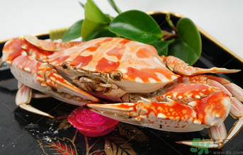 海蟹可以冷凍保存嗎？海蟹冷凍能保存多久？