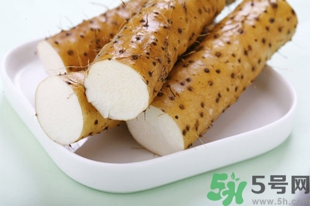 鐵棍山藥的藥用及食用價值 鐵棍山藥的功效作用 鐵棍山藥的藥用及食用價值 鐵棍山藥的功效作用