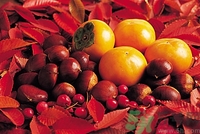 老人能喝板栗酒嗎？板栗怎么泡酒呢？