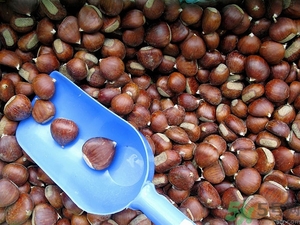 吃板栗肚子脹氣怎么辦？吃板栗對胃好嗎？