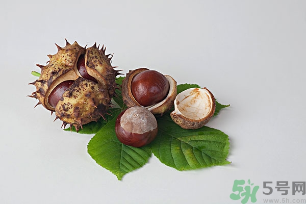 吃板栗肚子脹氣怎么辦？吃板栗對胃好嗎？