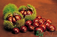 板栗和海鮮能一起吃嗎？板栗和海鮮能同食嗎？