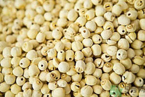 蓮子有什么功效與作用 蓮子的食用方法禁忌 蓮子有什么功效與作用 蓮子的食用方法禁忌