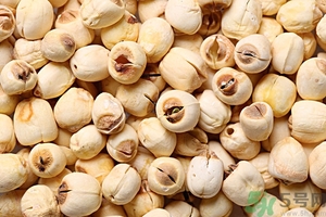 蓮子有什么功效與作用 蓮子的食用方法禁忌 蓮子有什么功效與作用 蓮子的食用方法禁忌