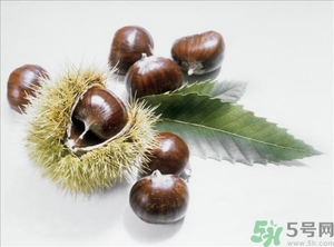 老人能喝板栗酒嗎？板栗怎么泡酒呢？