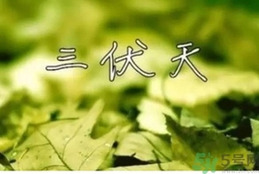 三伏天可以理發(fā)嗎？三伏天為什么不能理發(fā)？