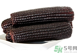 黑玉米怎么煮好吃?黑玉米煮了掉色怎么辦 黑玉米怎么煮好吃?黑玉米煮了掉色怎么辦