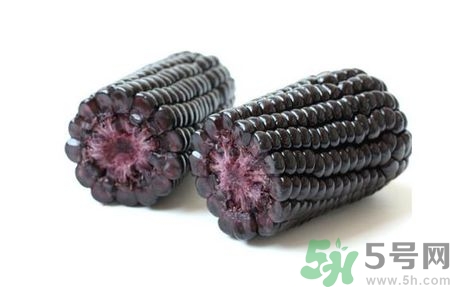 黑玉米怎么煮好吃?黑玉米煮了掉色怎么辦 黑玉米怎么煮好吃?黑玉米煮了掉色怎么辦