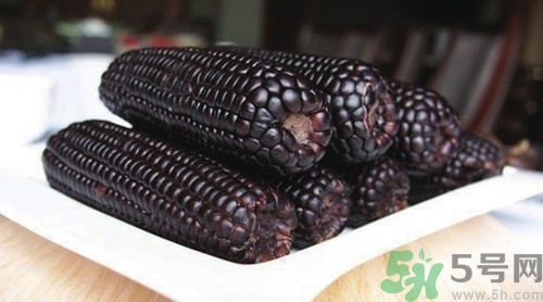 黑玉米怎么煮好吃?黑玉米煮了掉色怎么辦 黑玉米怎么煮好吃?黑玉米煮了掉色怎么辦