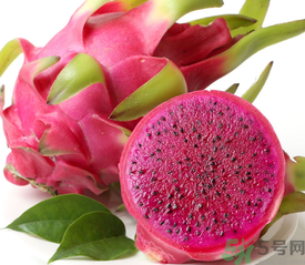 紅心火龍果是轉(zhuǎn)基因嗎？紅心火龍果是不是轉(zhuǎn)基因？