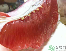 剝開的柚子能放冰箱嗎？柚子肉可以放冰箱嗎？