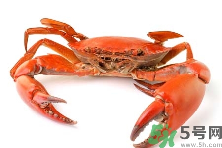 懷孕可以吃螃蟹嗎？懷孕吃了螃蟹怎么辦？