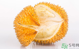 早上空腹吃榴蓮好嗎？早上空腹能吃榴蓮嗎？