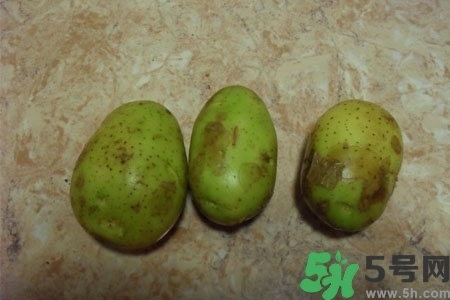 土豆發(fā)綠還能吃嗎？土豆發(fā)綠皮削皮后能吃嗎？