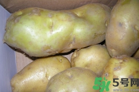 土豆發(fā)綠還能吃嗎？土豆發(fā)綠皮削皮后能吃嗎？