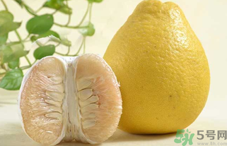 柚子為什么是苦的？柚子為什么會苦？