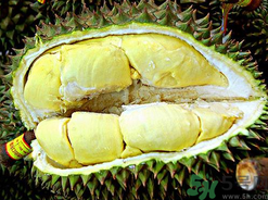 月經(jīng)期間可以吃榴蓮嗎？來月經(jīng)可以吃榴蓮嗎？